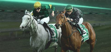 6 Horses Challenge: Four customers share £250,000 on Grand .